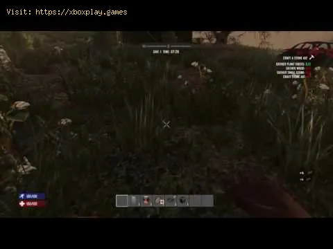 Video preview