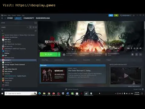 Video preview