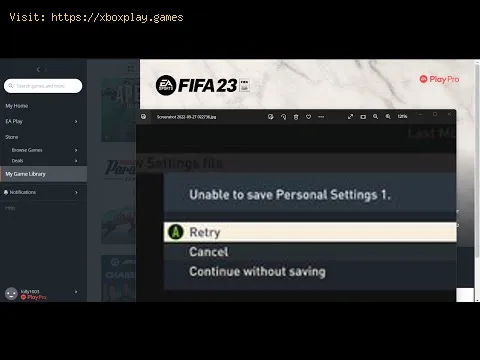 Video preview