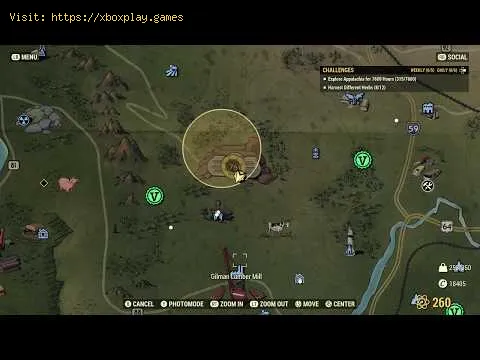 Video preview
