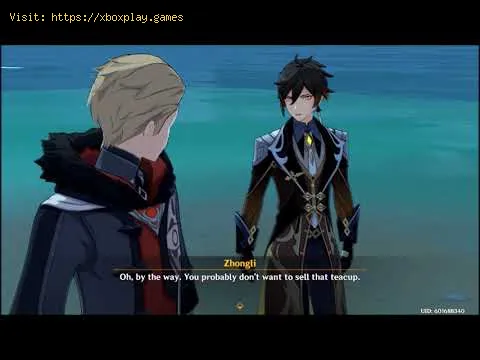 Video preview