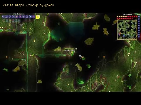 Video preview