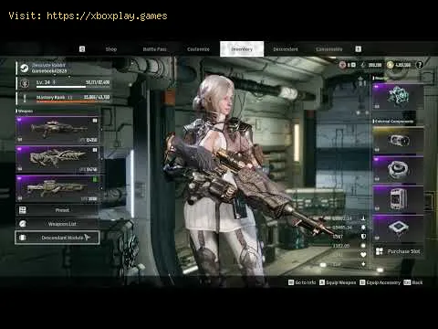 Video preview