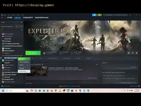 Video preview
