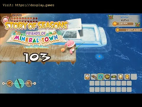 Video preview