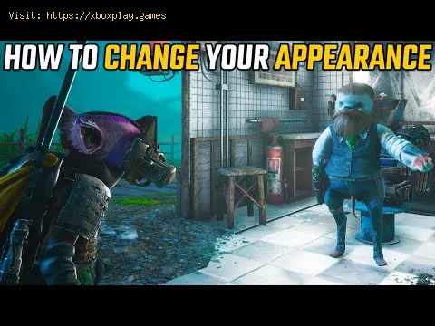 Video preview
