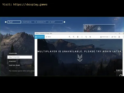 Video preview