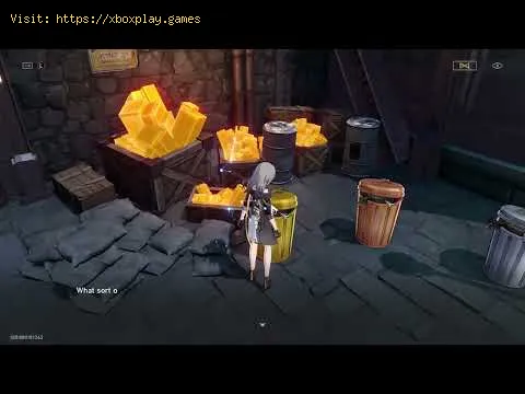 Video preview