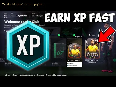 Video preview