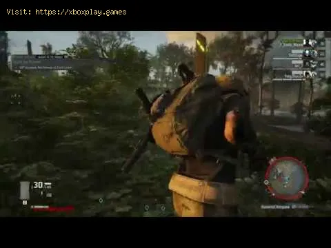 Video preview