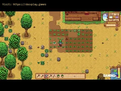 Video preview