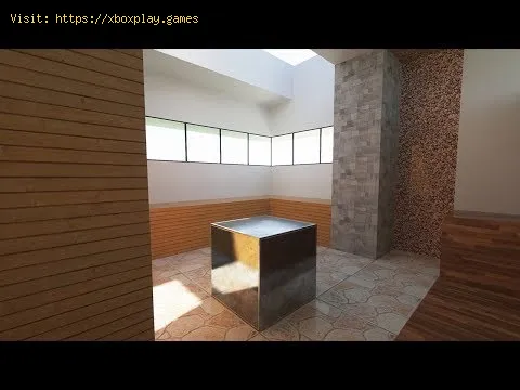 Video preview