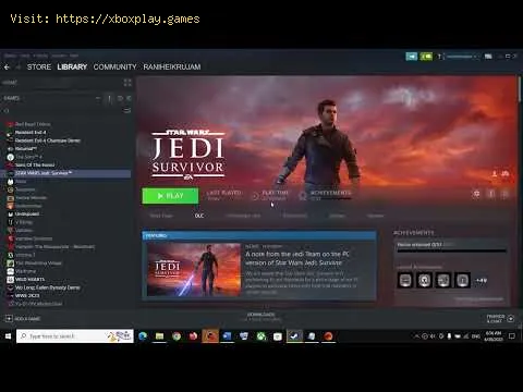 Video preview