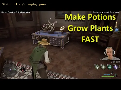 Video preview
