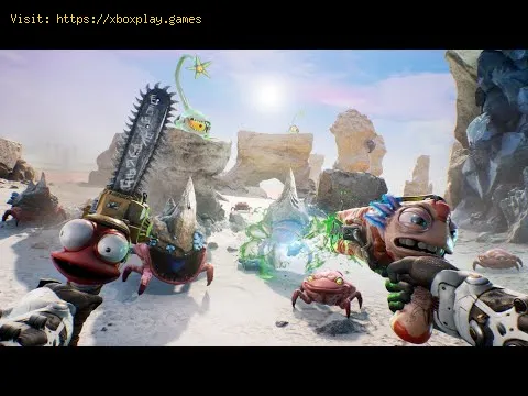 Video preview
