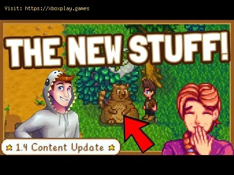 Video preview