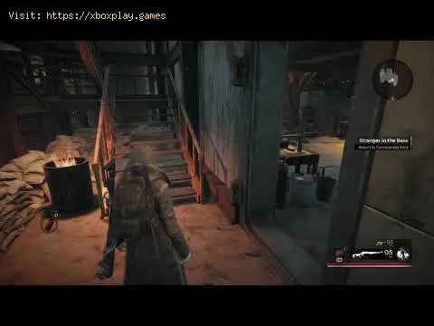 Video preview