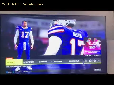 Video preview
