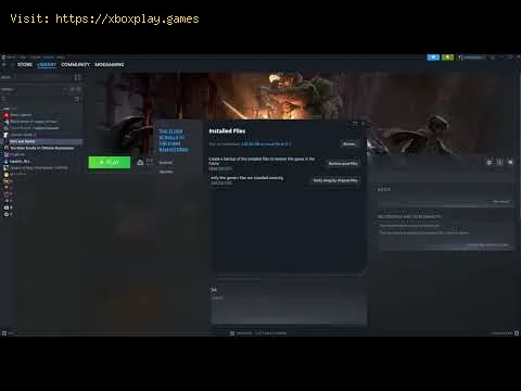 Video preview