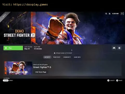Video preview