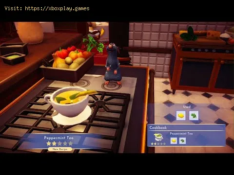 Video preview