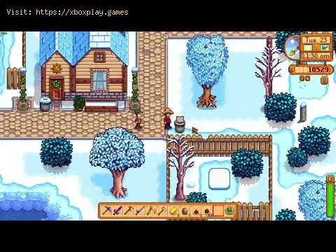 Video preview