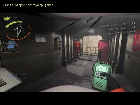 Video preview