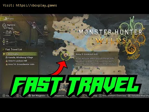 Video preview