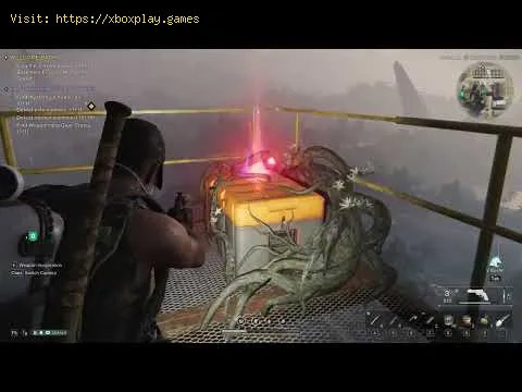 Video preview