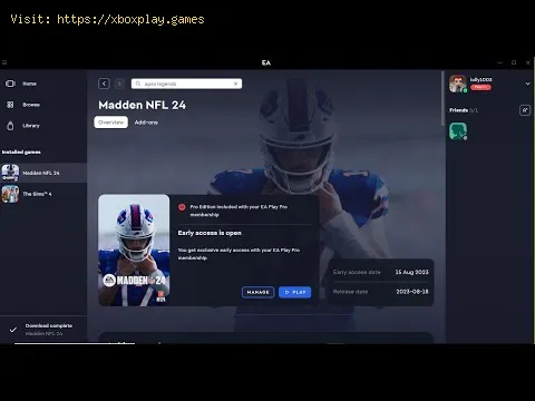 Video preview