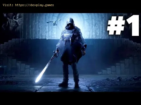 Video preview