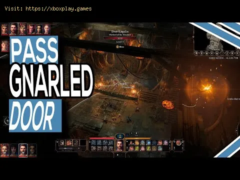 Video preview