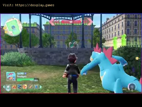 Video preview
