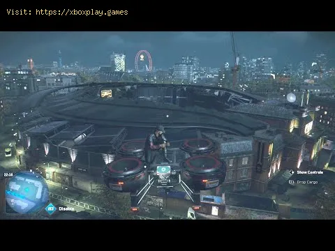 Video preview