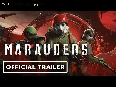 Video preview