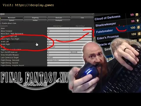 Video preview