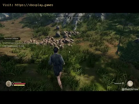 Video preview