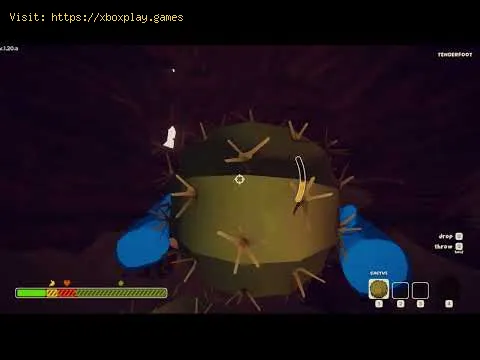 Video preview