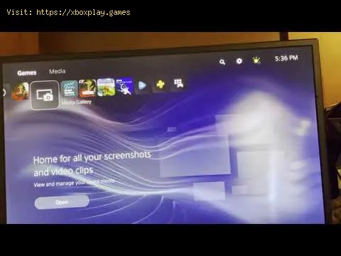 Video preview