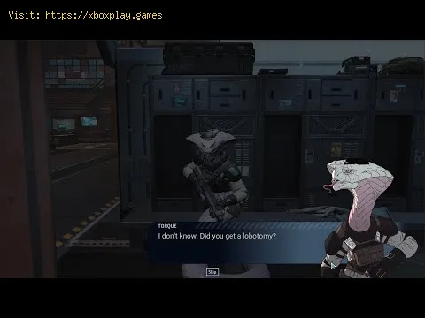Video preview