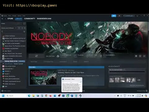 Video preview