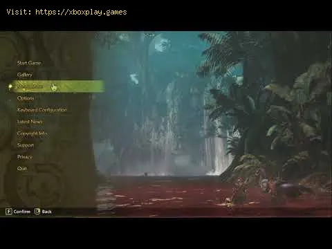 Video preview