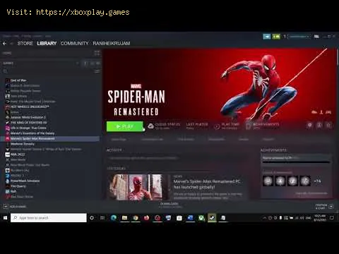 Video preview