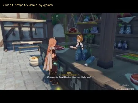 Video preview
