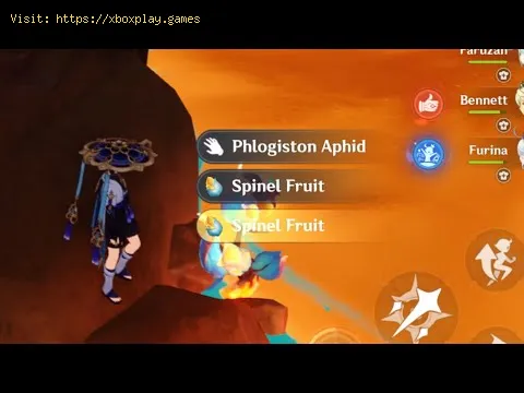 Video preview