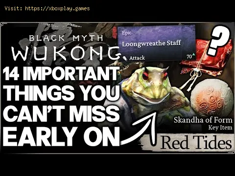 Video preview
