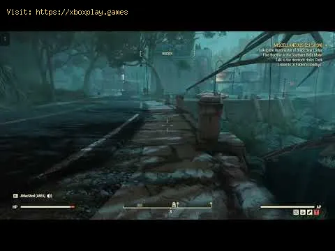 Video preview