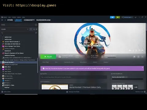 Video preview