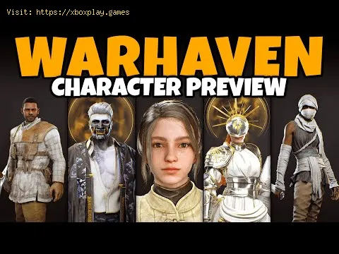 Video preview