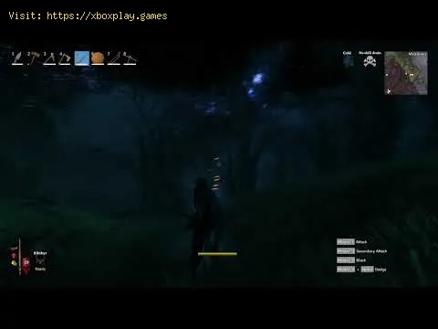 Video preview